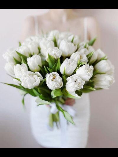 51 белый тюльпан