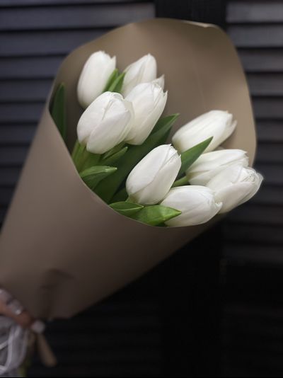 Букет из 9 белых тюльпанов