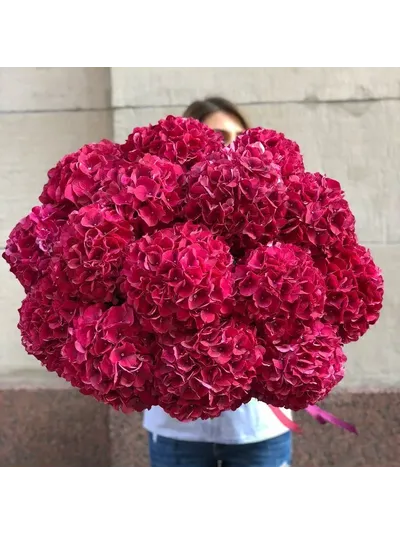 19 красных гортензий
