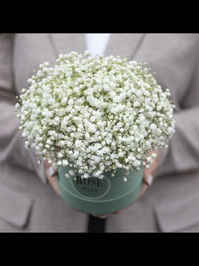 Композиция из гипсофилы