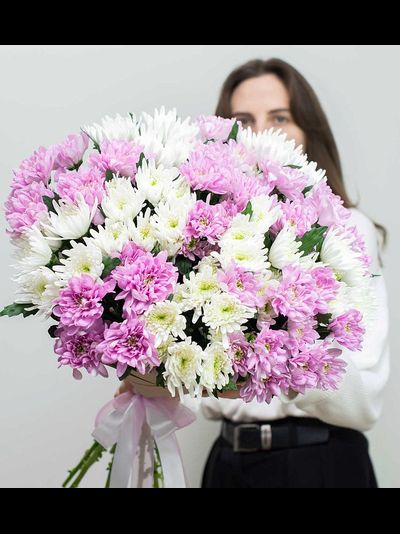 Хризантема кустовая