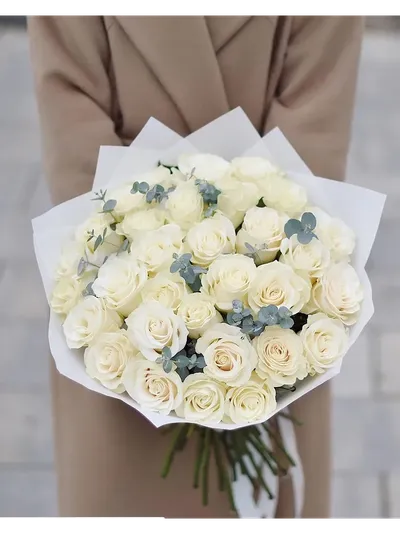 31 БЕЛАЯ РОЗА С ЭВКАЛИПТОМ