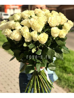 51 БЕЛАЯ ГОЛЛАНДСКАЯ РОЗА