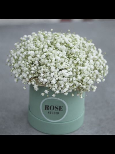 Композиция из гипсофилы