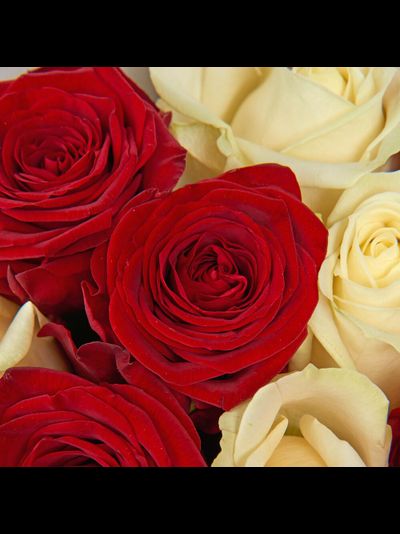 Микс из 25 роз
