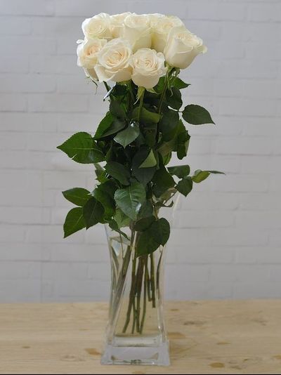 РОЗА БЕЛАЯ ГОЛЛАНДСКАЯ