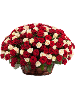 МИКС ИЗ 201 РОЗЫ В КОРЗИНЕ