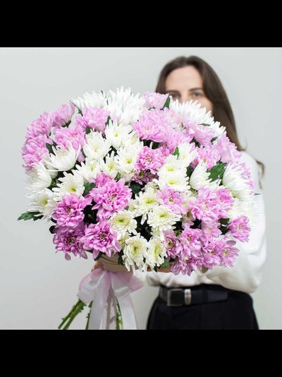 Хризантема кустовая