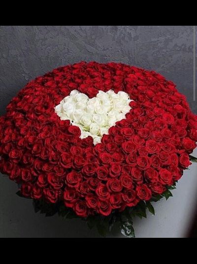 303 розы в корзине