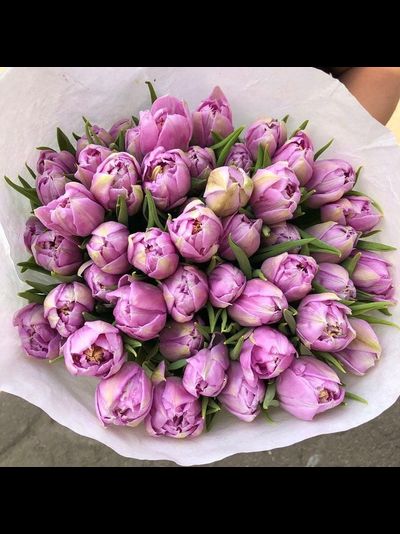 45 ПИОНОВИДНЫХ ТЮЛЬПАНОВ