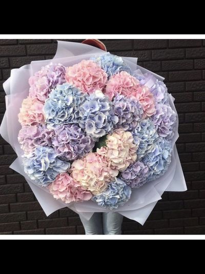 19 гортензий (цвет на выбор)