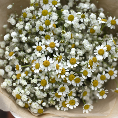 Букет из гипсофилы и ромашек