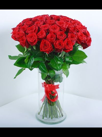 51 КРАСНАЯ РОЗА "RED"