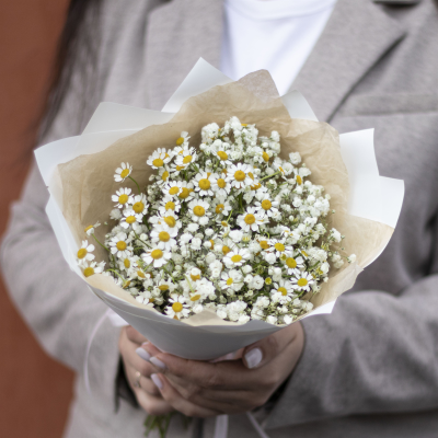 Букет из гипсофилы и ромашек