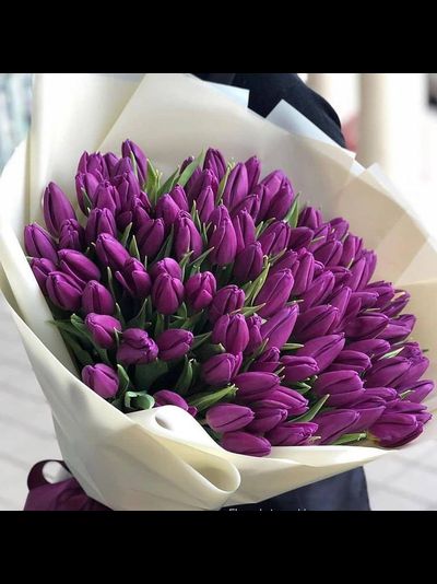 101 ФИОЛЕТОВЫЙ ТЮЛЬПАН