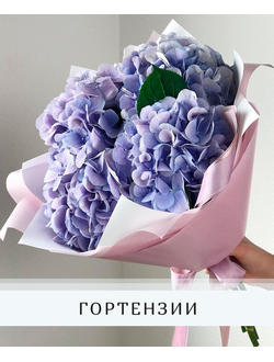 БУКЕТЫ ИЗ ГОРТЕНЗИИ
