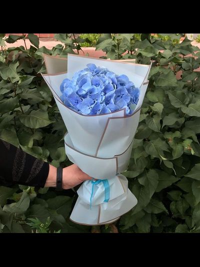 Моно букет из гортензии