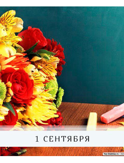 1 Сентября