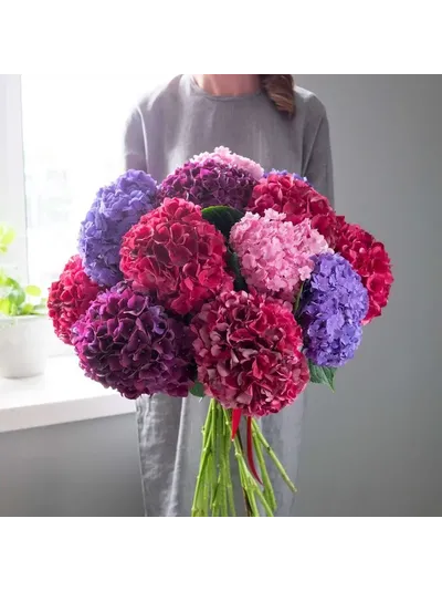 Микс из 15 ярких гортензий