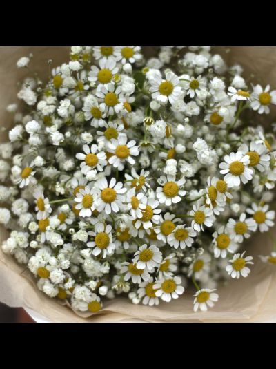 Букет из гипсофилы и ромашек