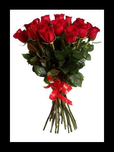 15 КРАСНЫХ ГОЛЛАНДСКИХ РОЗ