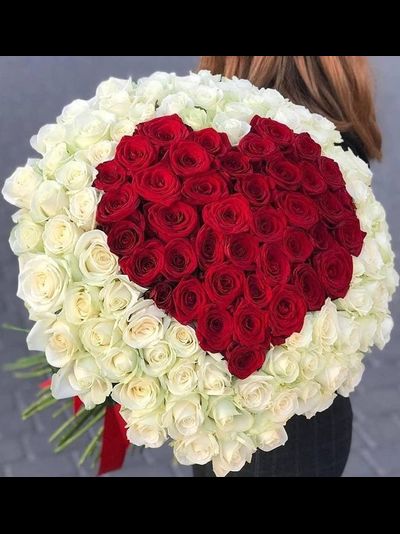 151 РОЗА