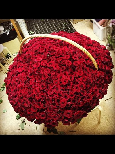 301 РОЗА В КОРЗИНЕ "КОМПЛИМЕНТ"