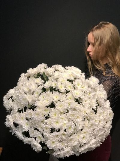 31 ХРИЗАНТЕМА