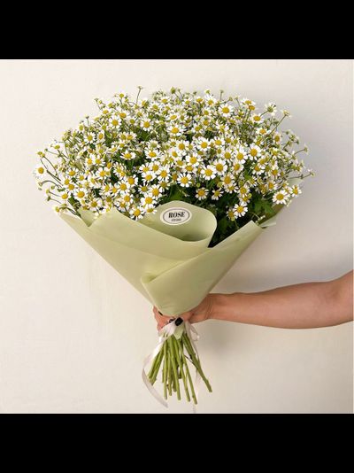 25 кустовых ромашек