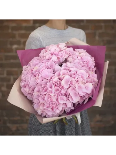 7 розовых гортензий