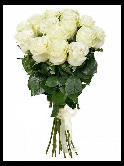 15 ГОЛЛАНДСКИХ РОЗ