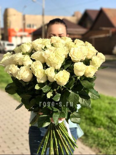 51 БЕЛАЯ ГОЛЛАНДСКАЯ РОЗА